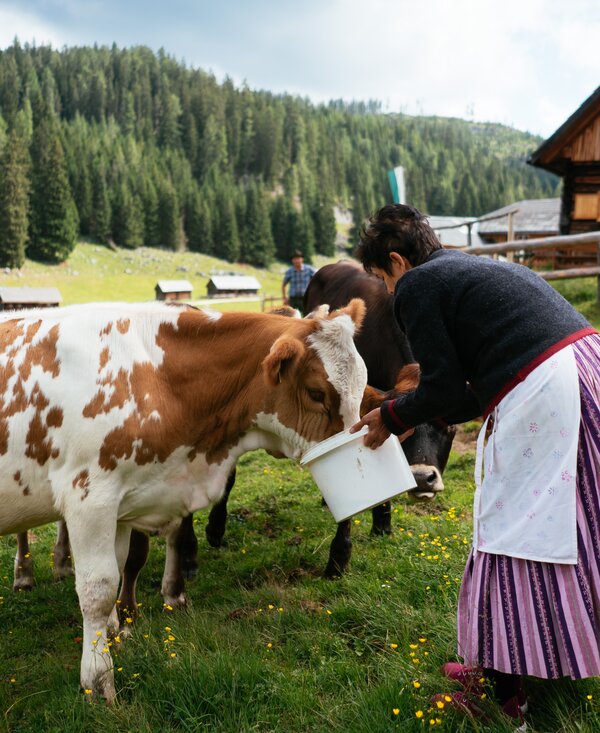 Sennerin auf der Viehbergalm mit ihren Kühen, Ritzingerhütte, Steiermark | © Urlaub am Bauernhof Steiermark / Daniel Gollner Sennerin auf der Viehbergalm mit ihren Kühen, Ritzingerhütte, Steiermark | © Urlaub am Bauernhof Steiermark / Daniel Gollner