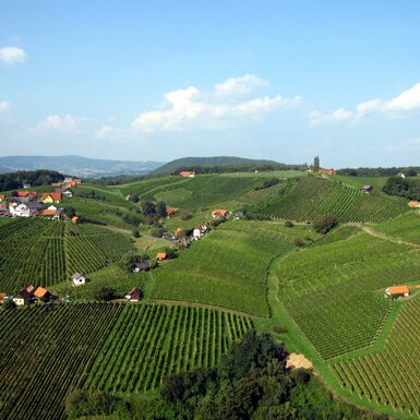 Die Klöcher Weingärten aus der Vogelperspektive, Thermen- & Vulkanland, Steiermark | © Thermen- & Vulkanland / Reinhart Nunner