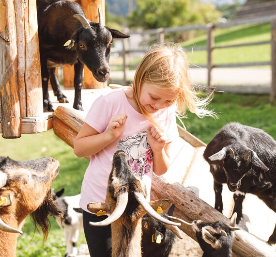 Mädchen mit Ziegen, Forstbauer, Steiermark | © Urlaub am Bauernhof / Punkt & Komma