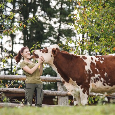 Eine Kuh schleckt eine junge Frau im Gesicht ab, Forstbauer, Steiermark | © Urlaub am Bauernhof / Punkt & Komma