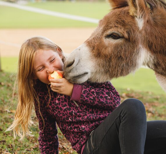 Der Esel möchten den Apfel eines Mädchens haben, Forstbauer, Steiermark | © Urlaub am Bauernhof / Punkt & Komma