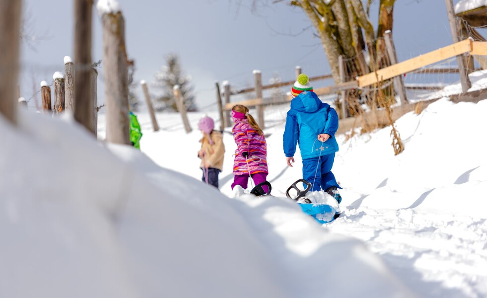 Drei Kinder ziehen ihre Bobs zum Startpunkt, Urlaubsregion Murau-Murtal, Steiermark | © Urlaub am Bauernhof Steiermark / Wolfgang Spekner