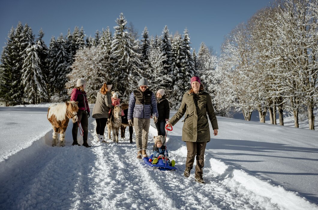 Familie beim Winterspaziergang mit Bob und Ponys | © UaB Steiermark / Wolfgang Spekner