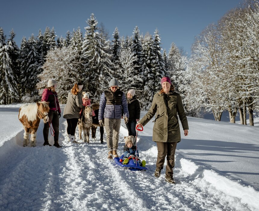 Familie beim Winterspaziergang mit Bob und Ponys | © UaB Steiermark / Wolfgang Spekner