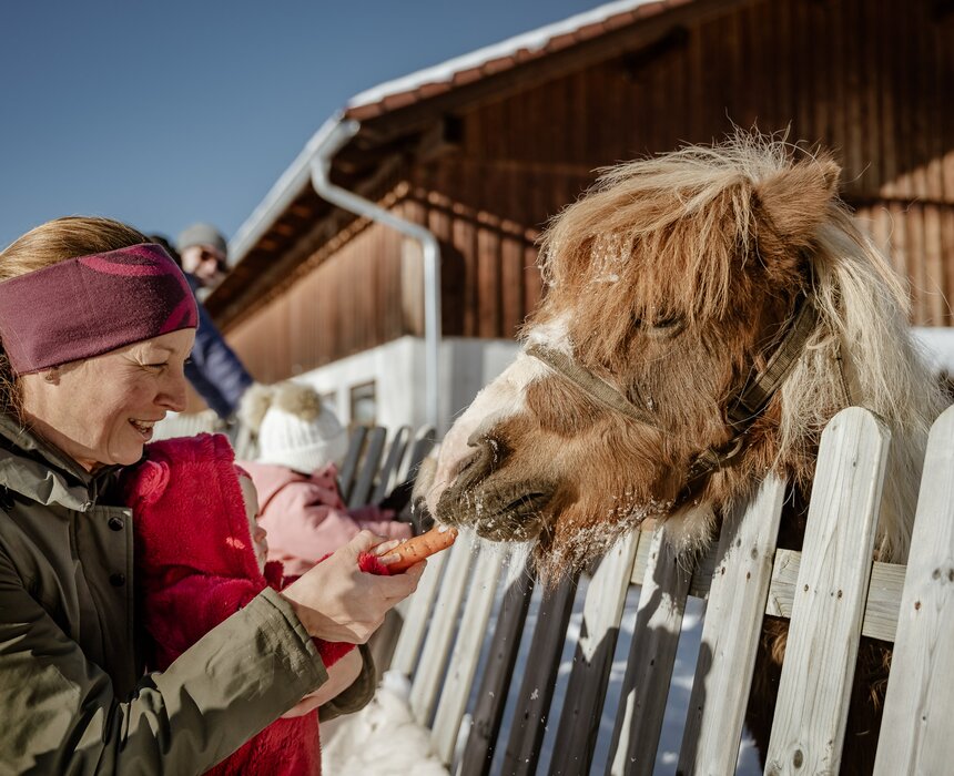 Eine Frau gibt gemeinsam mit einem kleinen Kind einem Pony eine Karotte im Winter.  | © UaB Steiermark / Wolfgang Spekner