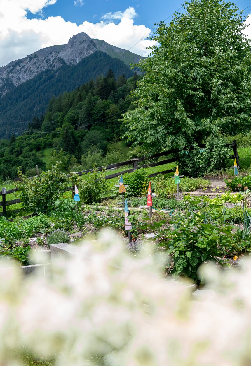 Kräuter am Nadlihof | © Black Tea Fotografie/Viktoria Gstrein 