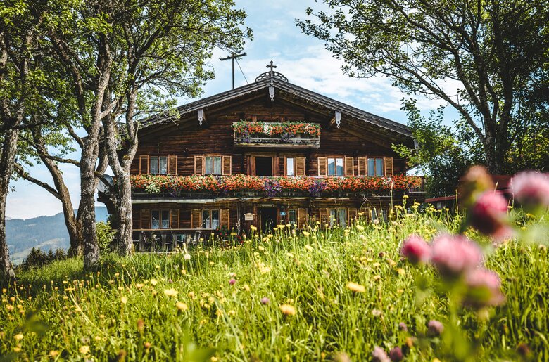 Kirchberg | © TVB Kitzbüheler Alpen-Brixental/ Mathäus Gartner