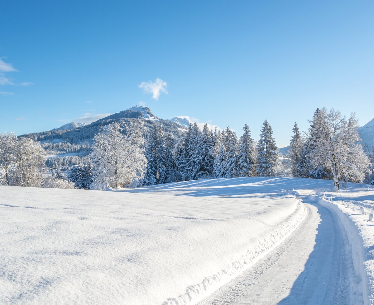 Winterlandschaft Fieberbrunn | © TVB PillerseeTal/Helmut Lackner