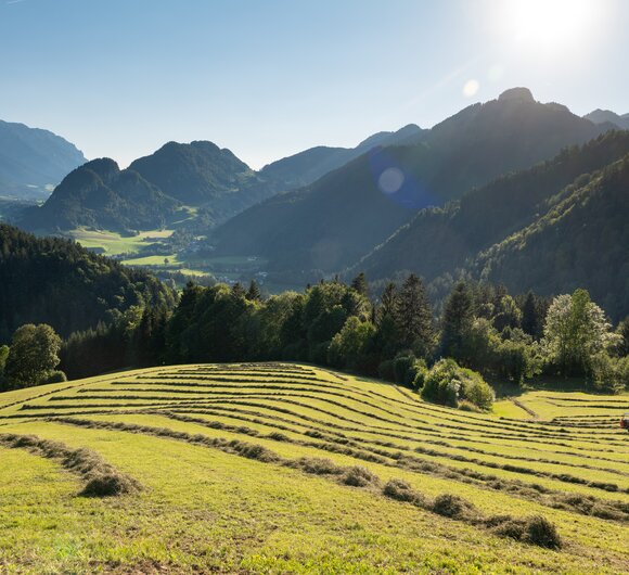 Kaiserwinkl Landschaft Somnmerurlaub | © ©TVB Kaiserwinkl