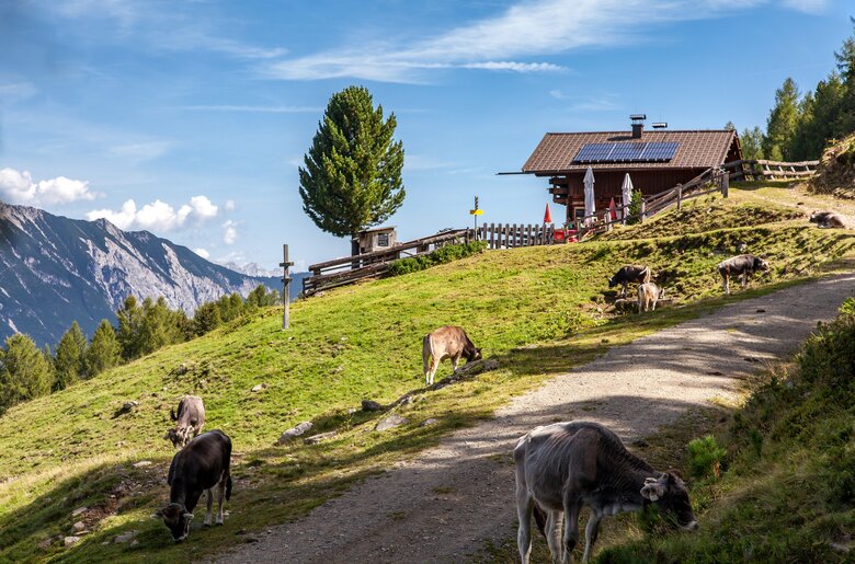 Leiner Alm | © TVB Pitztal/ Chris Walch (Breonix Foto-Design)
