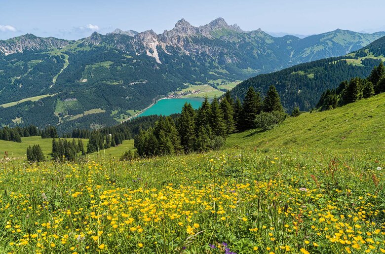 Landschaft See | © TVB Tannheimer Tal/ Achim Meurer Landschaft See | © TVB Tannheimer Tal/ Achim Meurer