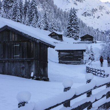Schneeschuhwanderung  | © Urlaub am Bauernhof in Tirol 