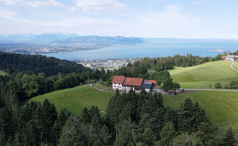 Innauer Hof mit Blick auf den Bodensee | © Urlaub am Bauernhof / Daniel Gollner