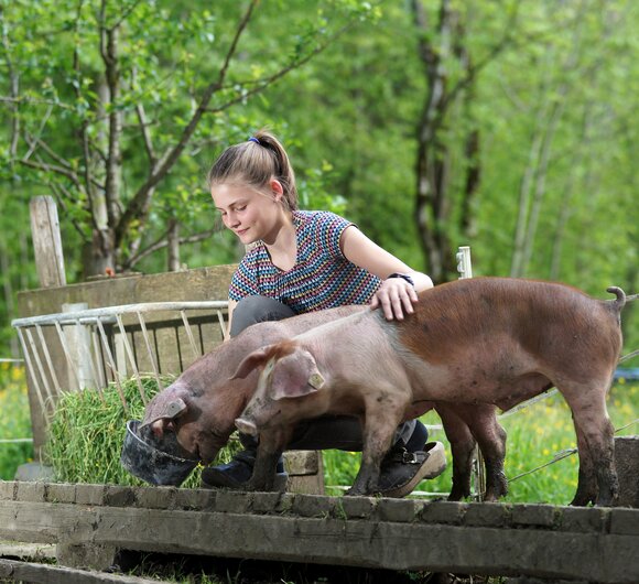 Mädchen füttert 2 Schweine | © Urlaub am Bauernhof Vorarlberg / Ludwig Berchtold