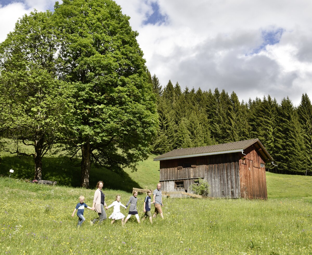 Familie wandert über die Wiese | © Urlaub am Bauernhof Vorarlberg / Andreas Kuenk Familie wandert über die Wiese | © Urlaub am Bauernhof Vorarlberg / Andreas Kuenk