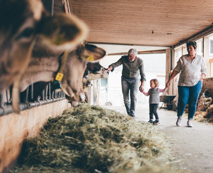 Großeltern mit Enkelkind im Kuhstall | © Urlaub am Bauernhof / Daniel Gollner