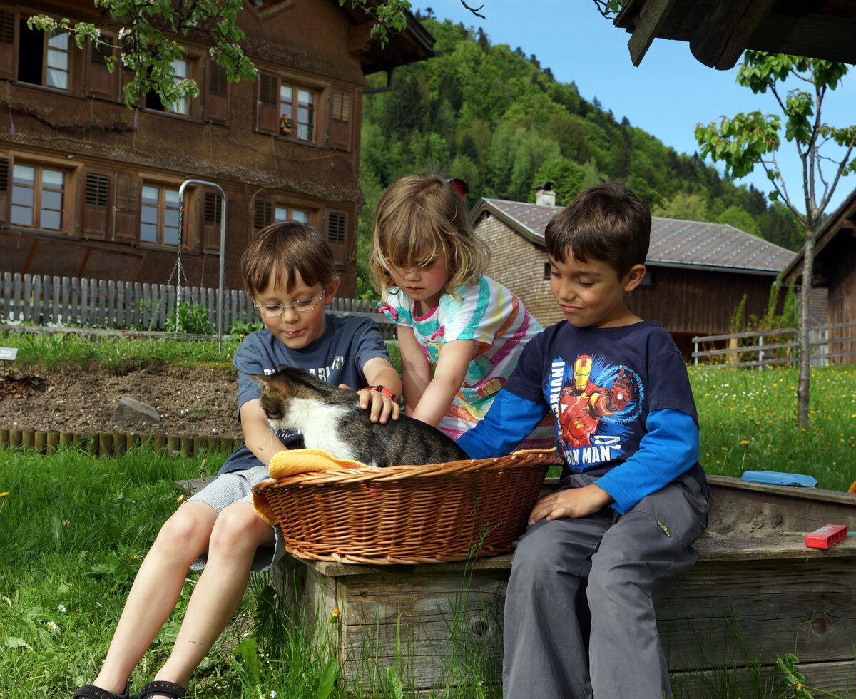 3 Kinder sitzen im Karten und streicheln die Katzen im Korb  | © Urlaub am Bauernhof Vorarlberg / Ludwig Berchtold