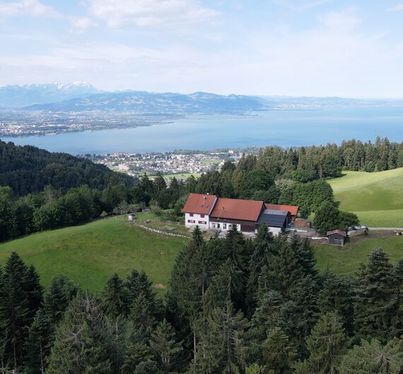 Blick auf den Bodensee | © Urlaub am Bauernhof / Daniel Gollner