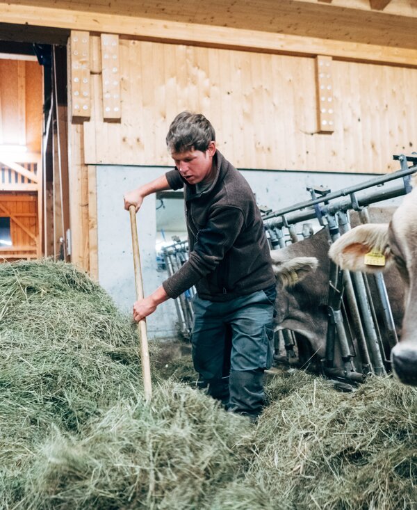 Landwirt Thomas füttert seine Tier mit Heu. | © Urlaub am Bauernhof Vorarlberg / Daniel Gollner Landwirt Thomas füttert die Tier | © Urlaub am Bauernhof Vorarlberg / Daniel Gollner
