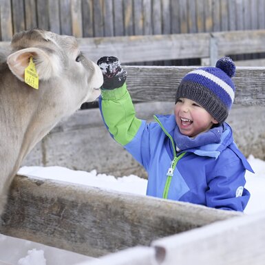 Ein kleiner Junge streichelt ein Kalb im Winter | © Urlaub am Bauernhof / Andreas Künk