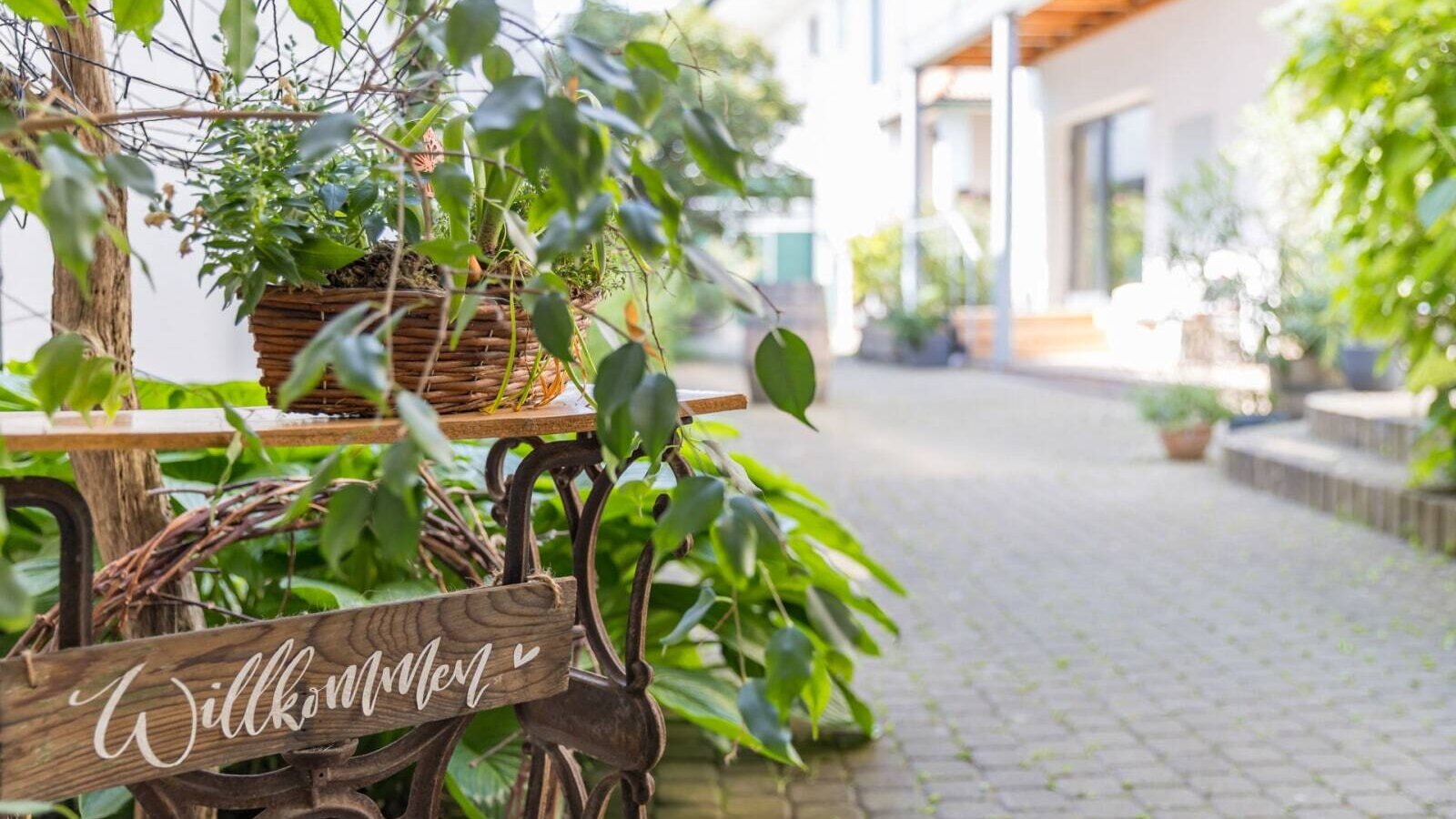 Innenhof des Hauses, umgeben von Pflanzen.