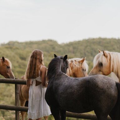 Ein Kind am Zaun blickt zu den Pferden des Bauernhofs.