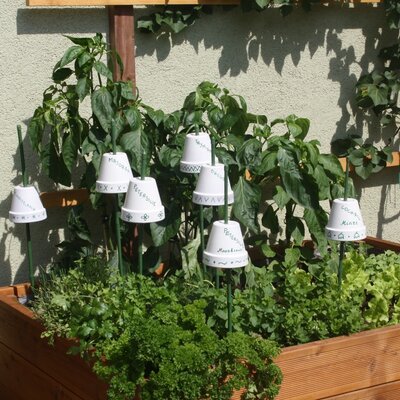 Kräuterhochbeet liebevoll angelegt