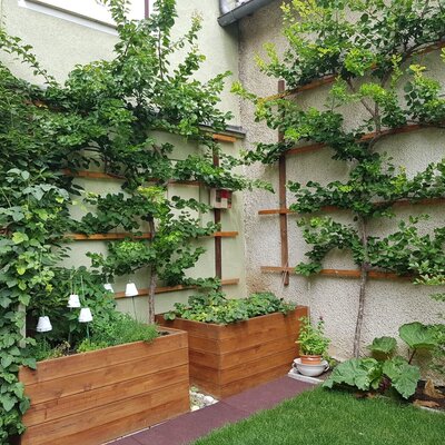 viele Beeren- und Kräuterbeete zum selber pflücken