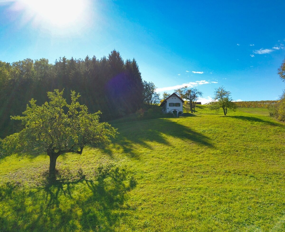 Der Bauernhof liegt auf einer grünen Wiese am Waldrand.