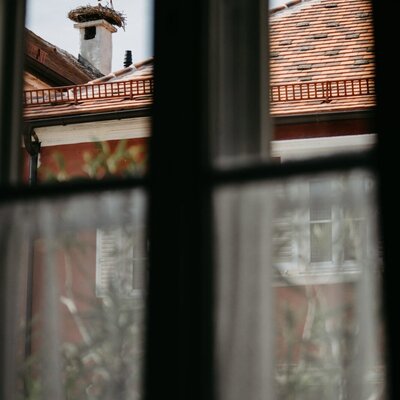Blick auf das Storchennest von der Wohnküche aus (copyright BurgenlandTourismus_TommiSchmid)