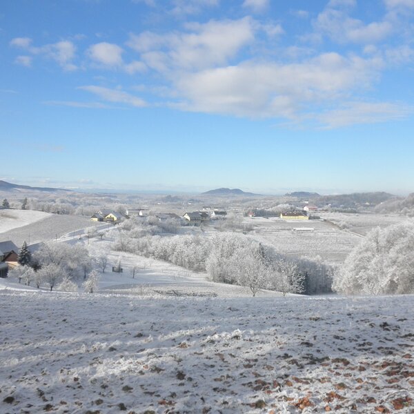 Winterblick