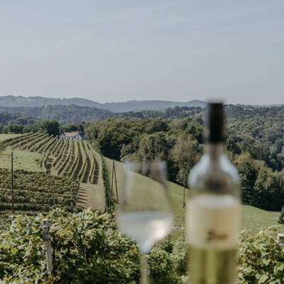 Ausblick von Terrasse "Fernblick"