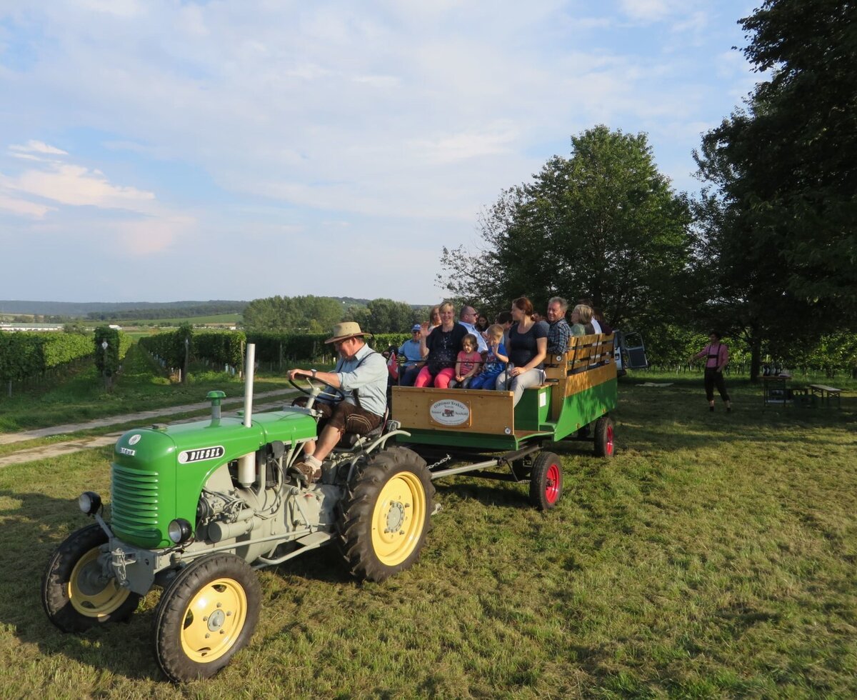 Traktorfahrt mit einem Oldtimer-Traktor und Gästen durch die Weinberge des Hofs.
