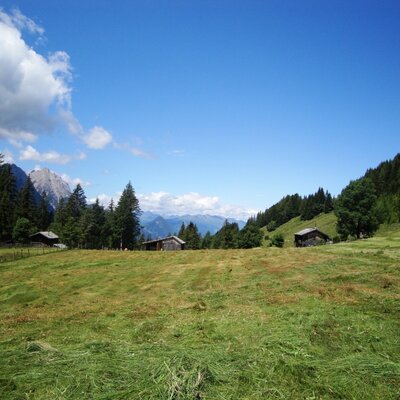 unsere Almwiese wird seit  Jahrhunderten sorgsam gepflegt