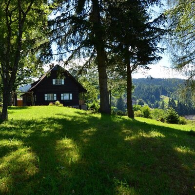 umzäunte Naturwiese