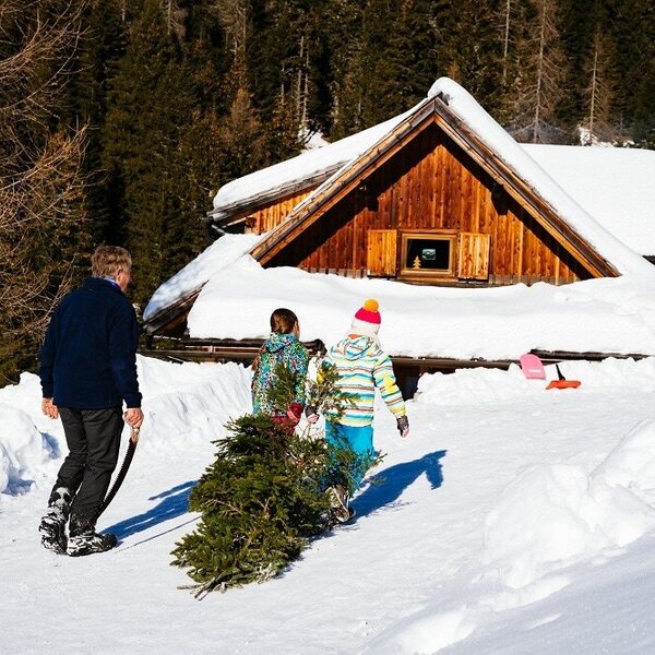 Die Alm im tiefen Schnee, mit Gästen, die einen Baum ziehen, umgeben von verschneiten Wäldern.