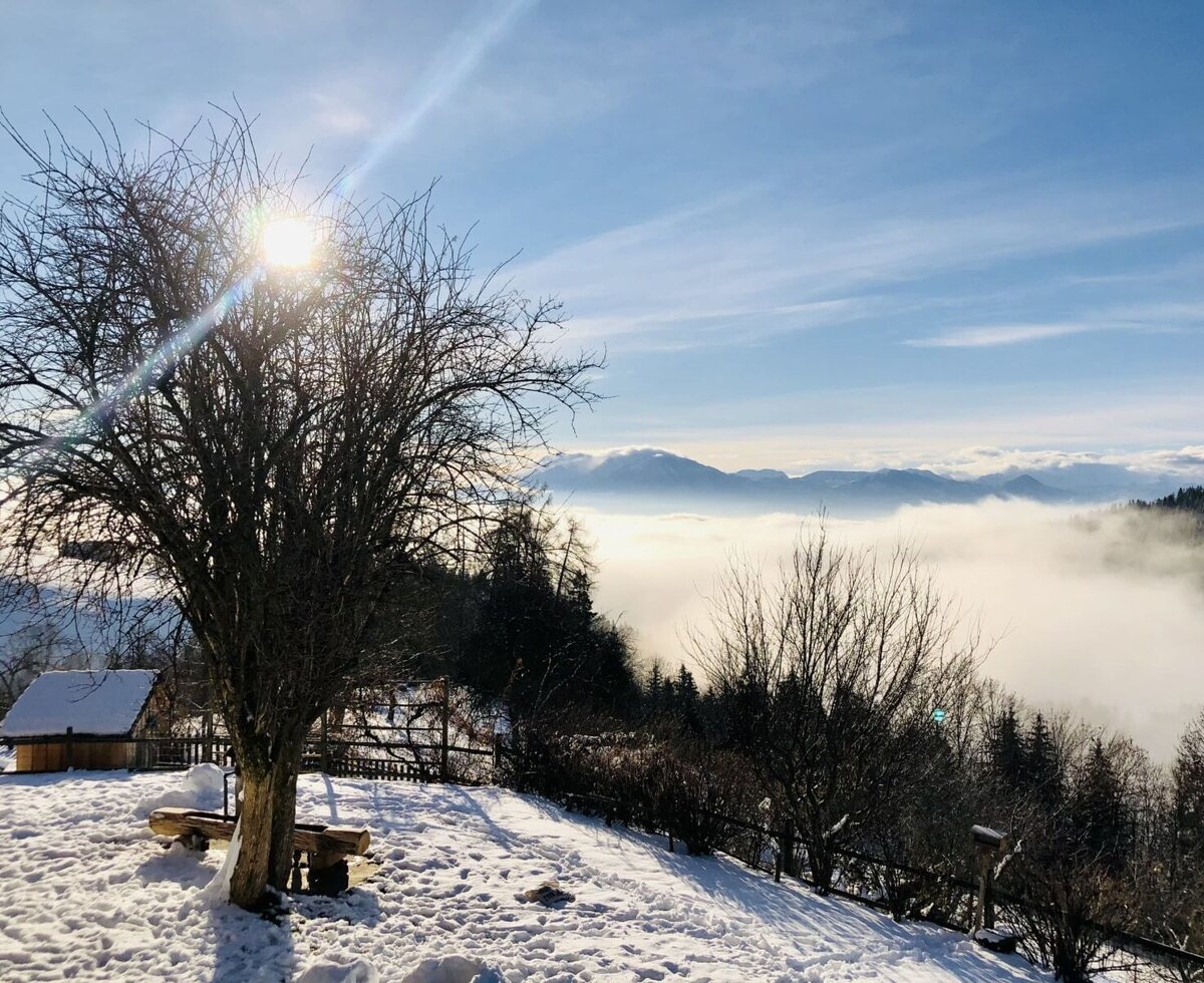 Der Winterblick vom Ferienhaus zeigt eine schneebedeckte Landschaft mit kahlen Bäumen und einem Nebelmeer im Tal vor einer Bergkulisse.