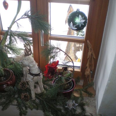 Es kommt die stille Zeit