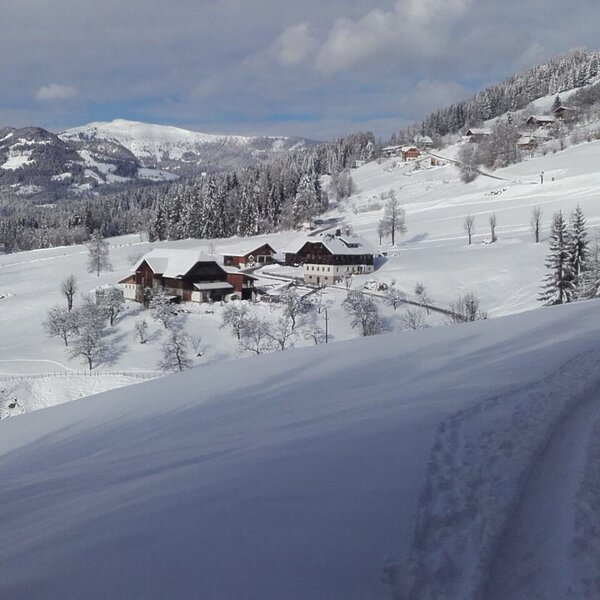 Der Bauernhof in einer verschneiten Winterlandschaft mit Bergen und Wäldern.
