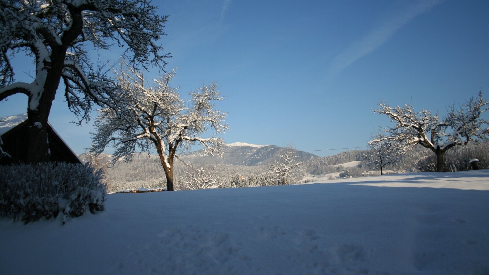 Ausblick hinterm Haus