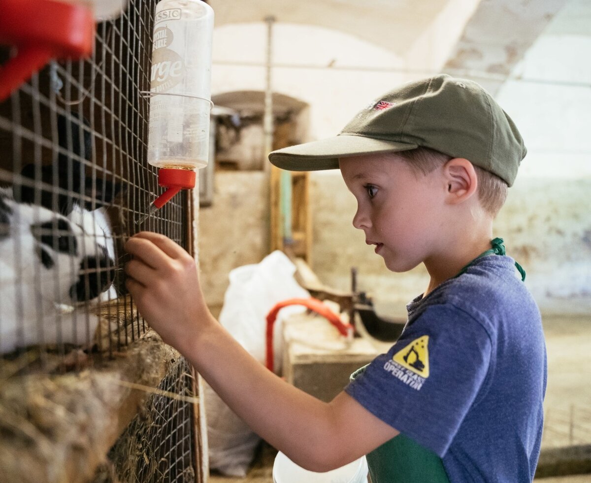 Bub bei den Hasen - Fotograf: Daniel Gollner