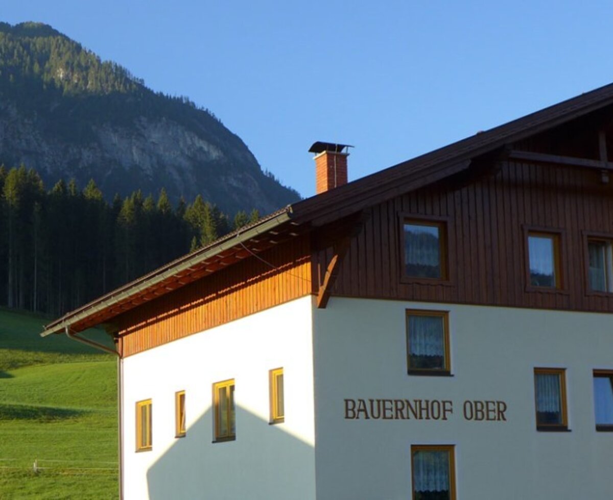 Der Bauernhof Ober mit Bergen, Wald und Wiesen im Hintergrund.