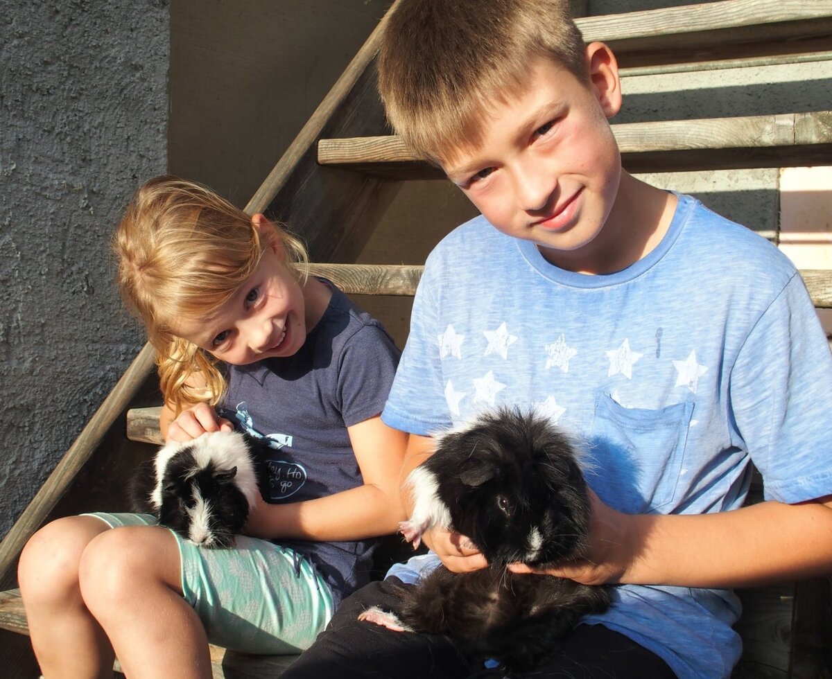 unsere Meerschweinchen