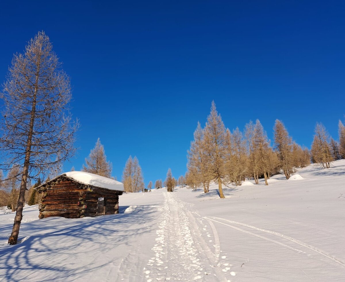 Eine urige Holzhütte in der tief verschneiten Winterlandschaft unter strahlend blauem Himmel.