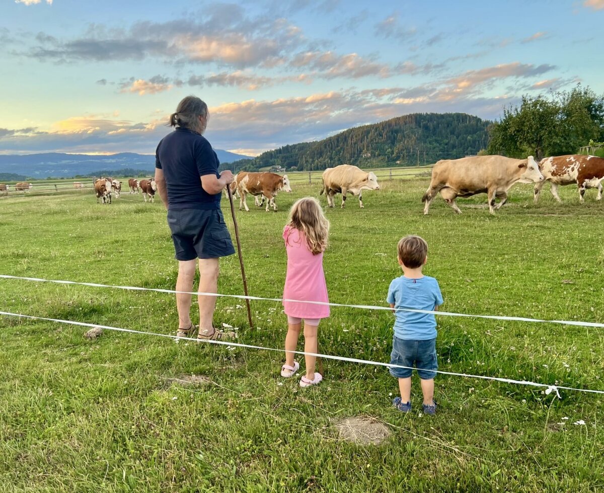 Wir passen auf die Kühe auf.