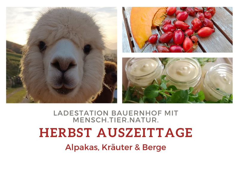 Herbstauszeit
