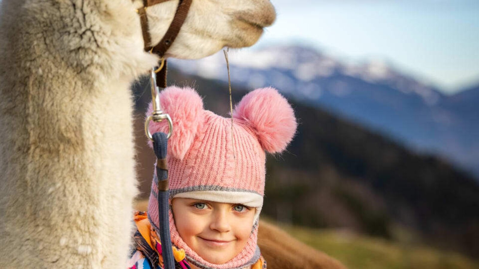 Alpaka-Erlebnis für Kinder auf dem Bauernhof mit Bergkulisse.