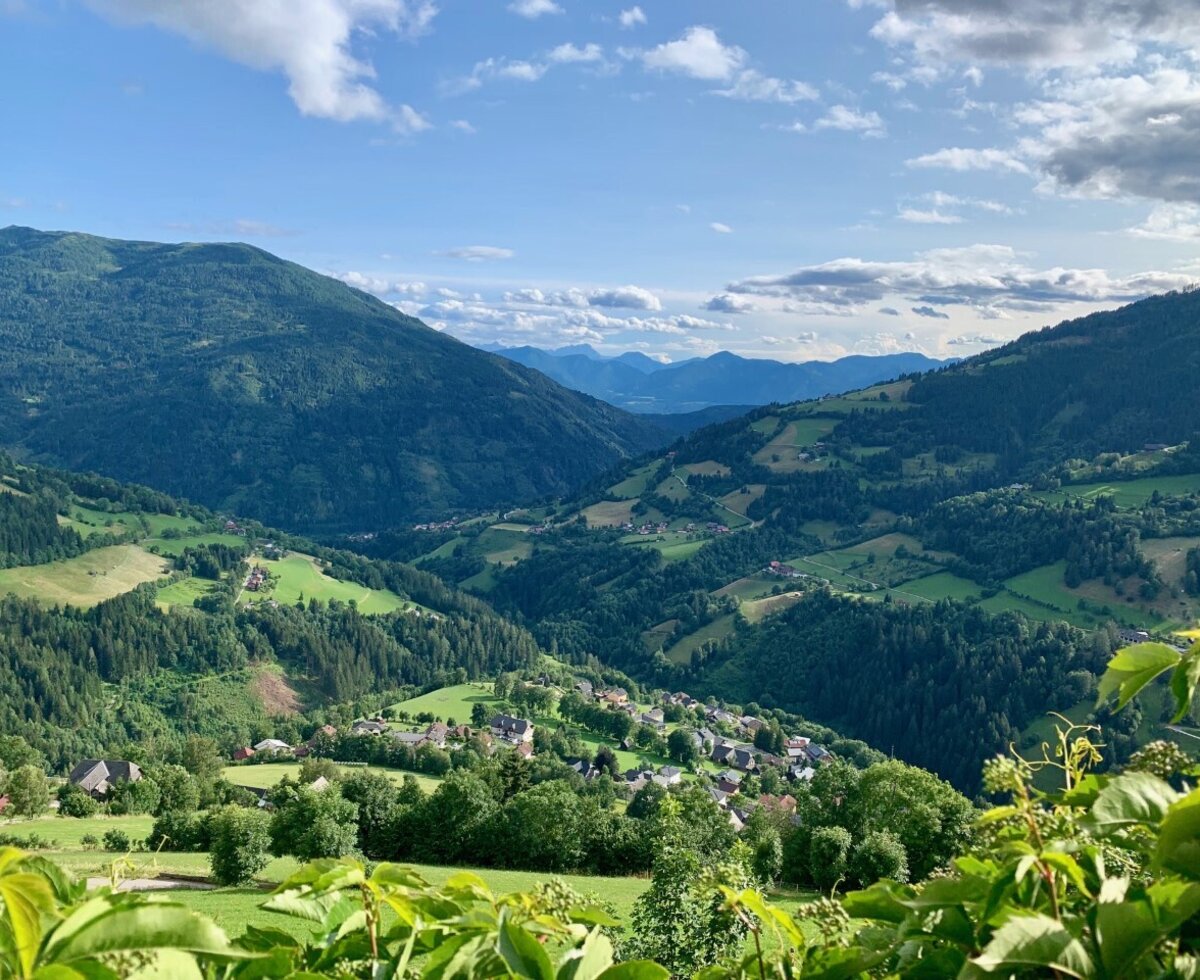 Panorama