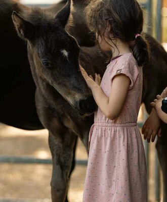 Ein liebevoller Moment auf dem Bauernhof, bei dem Kinder die zutraulichen Ponys hautnah erleben und streicheln können.
