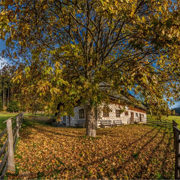 Herbst in Kaltstuben